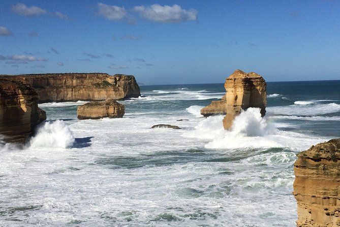 Great Ocean Road Reverse Rainforest & 12 Apostles from Melbourne - Wye River and the Koala Search: Wild Means Wild