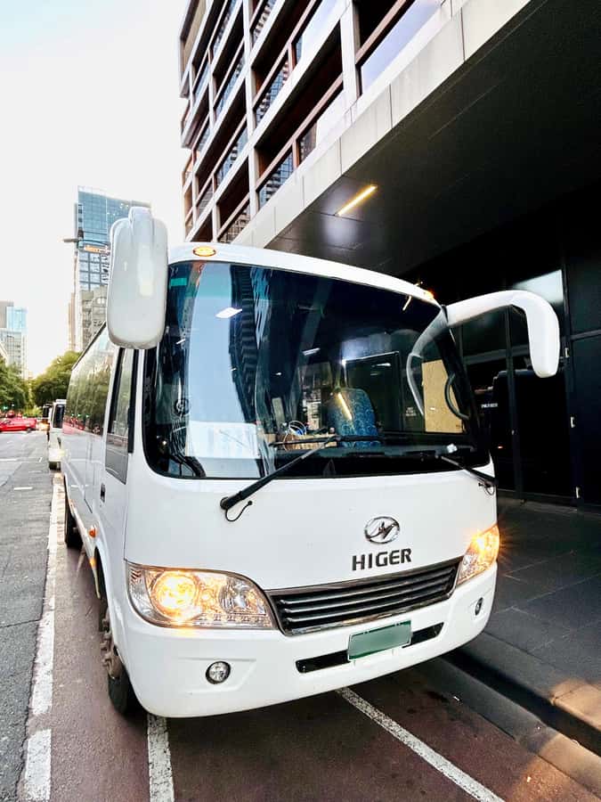 Great Ocean Road Reverse Tour London Bridge Wildlife - Price and Value: Is $38 a Smart Buy?
