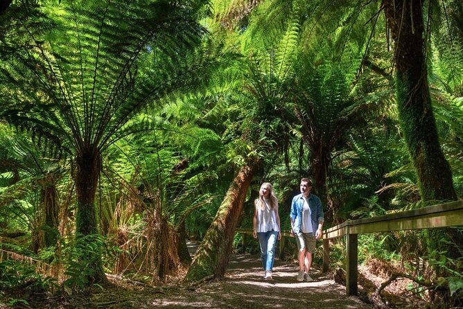 Great Ocean Road Small-Group Eco Tour from Melbourne - Loch Ard Gorge: shipwreck stories and a second unforgettable coastline stop