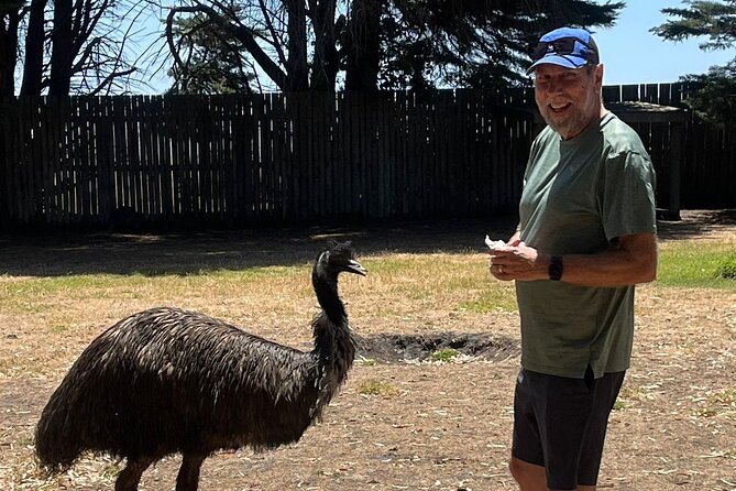 Great Ocean Road Small Group Tour with Dingos, Sparkling & Lunch - Great Ocean Road icons: Loch Ard Gorge and the story behind the cliffs