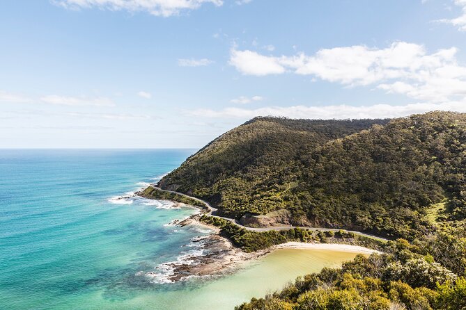 Great Ocean Road Small Group Tour with Dingos, Sparkling & Lunch - Great Ocean Road Wildlife Park: dingos, kangaroos, emus, and conservation education