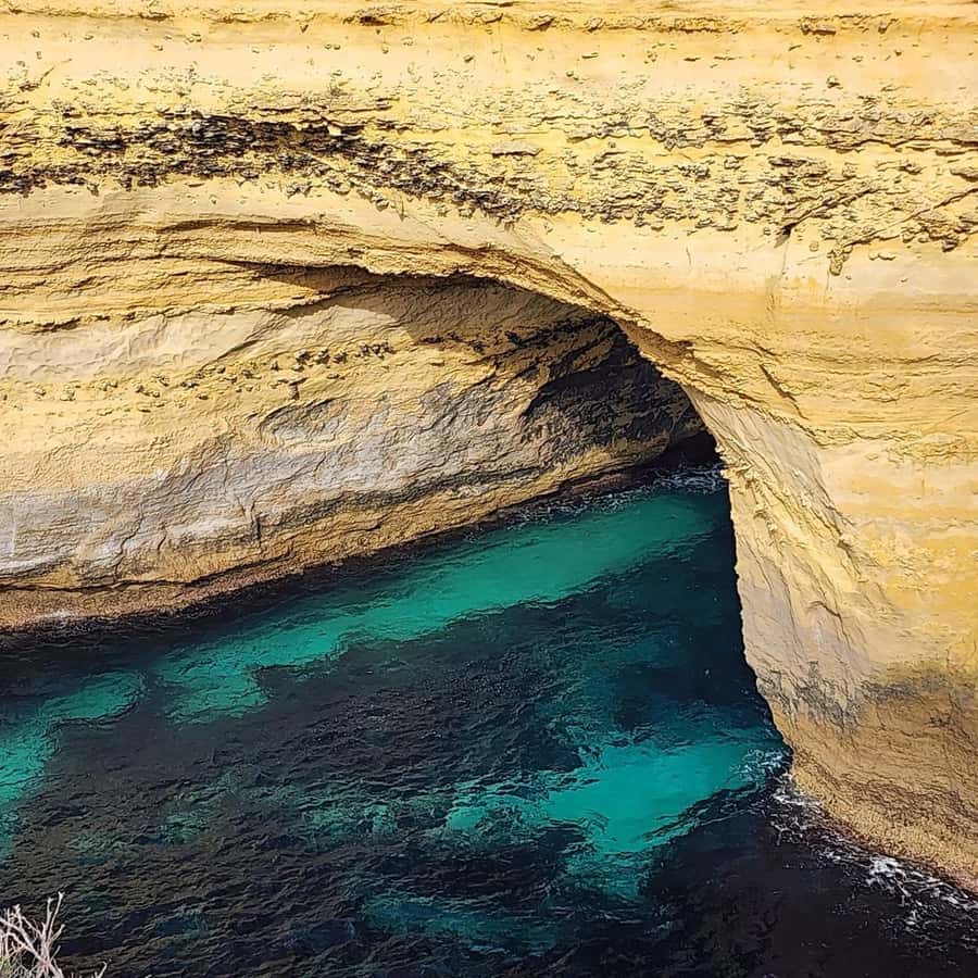 Great Ocean Road Tour Melbourne Relaxed Way In Premium coach - Reverse-Order Routing: Beating the 12 Apostles Crowd