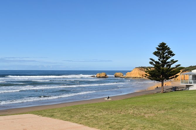 Great Ocean Road Tour Plus Koalas, Forest Walk and Morning Tea - Razorback, Island Arch Lookout, and Loch Ard Gorge: where the coastline tells a story