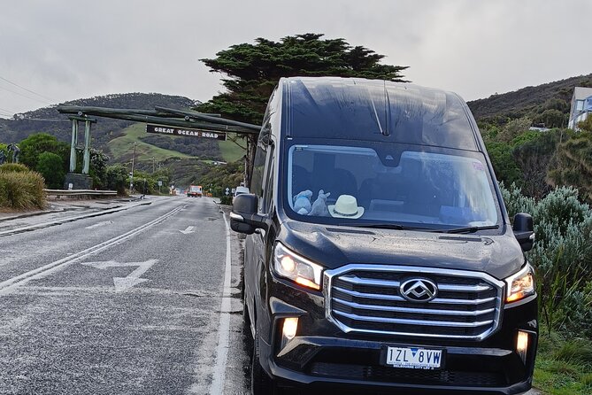 Great Ocean Road Tour Reverse –SML GRP-DLUX Mini Bus Hotel Pickup - Twelve Apostles: included time, big views, and an optional helicopter