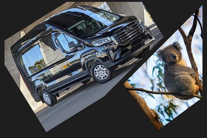 Great Ocean Road Tour Reverse –SML GRP-DLUX Mini Bus Hotel Pickup - Loch Ard Gorge and Tom and Eva: the shipwreck story stop