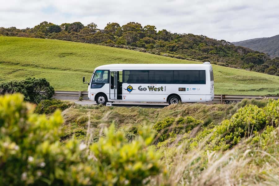 Great Ocean Road Tour w/ Deluxe Minibus & Top-Rated Guide - Small-group minibus comfort, real breaks, and the guide factor