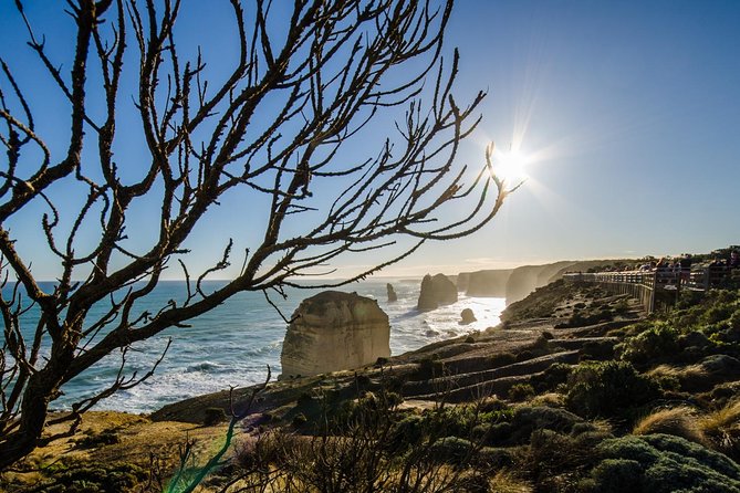 Great Ocean Road Tour with Instagram Sunset views of 12 Apostles - Chocolates, Memorial Arch, and Apollo Bay: The Human Stops