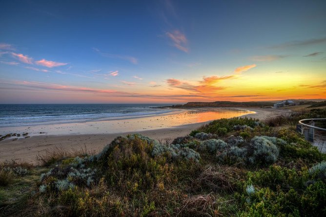 Great Ocean Road Tour with Instagram Sunset views of 12 Apostles - Wildlife and Koalas: How to Think About Spotting