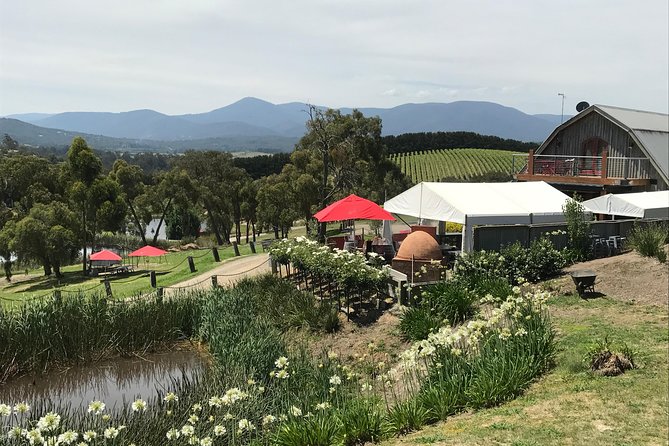 Half-Day or Full-Day Tour with Private Guide from Melbourne - What to Ask Before You Leave the Pickup Spot