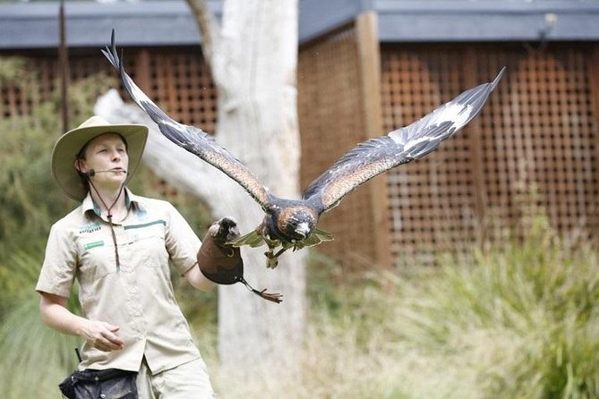 Healesville Sanctuary General Entry Ticket - Key takeaways before you go