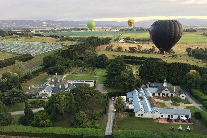 Hot Air Balloon Flight over the Yarra Valley - Key takeaways before you book