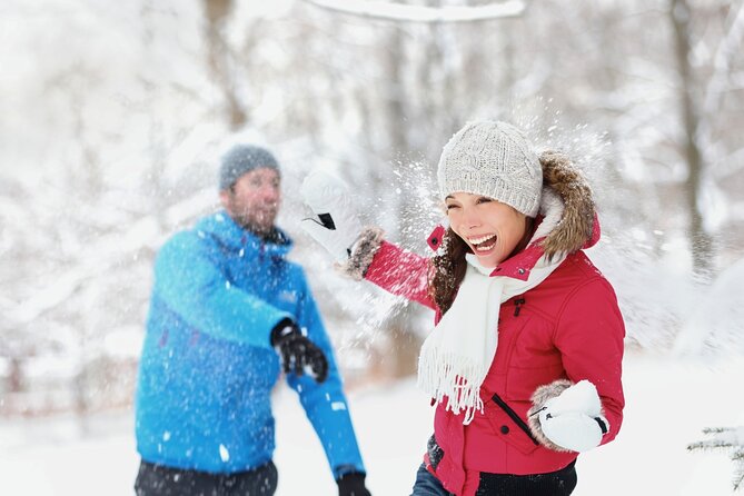 Lake Mountain Snow Tour - Key things to know before you go