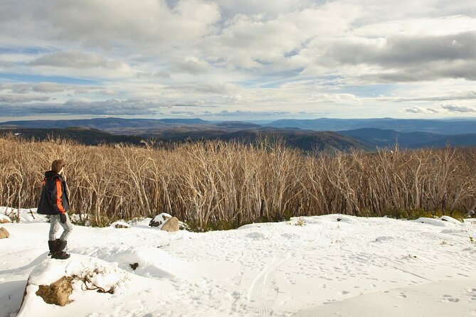 Lake Mountain Snow Tour - Steavenson Falls: a short walk that hits hard for photos