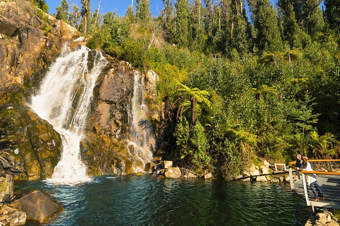 Lake Mountain Snow Tour - Price and value: what $125.52 really covers