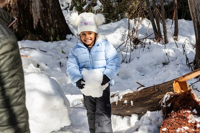 Lake Mountain Snow Tour - Lake Mountain Alpine Resort: why the 3-hour snow block is the heart of the tour