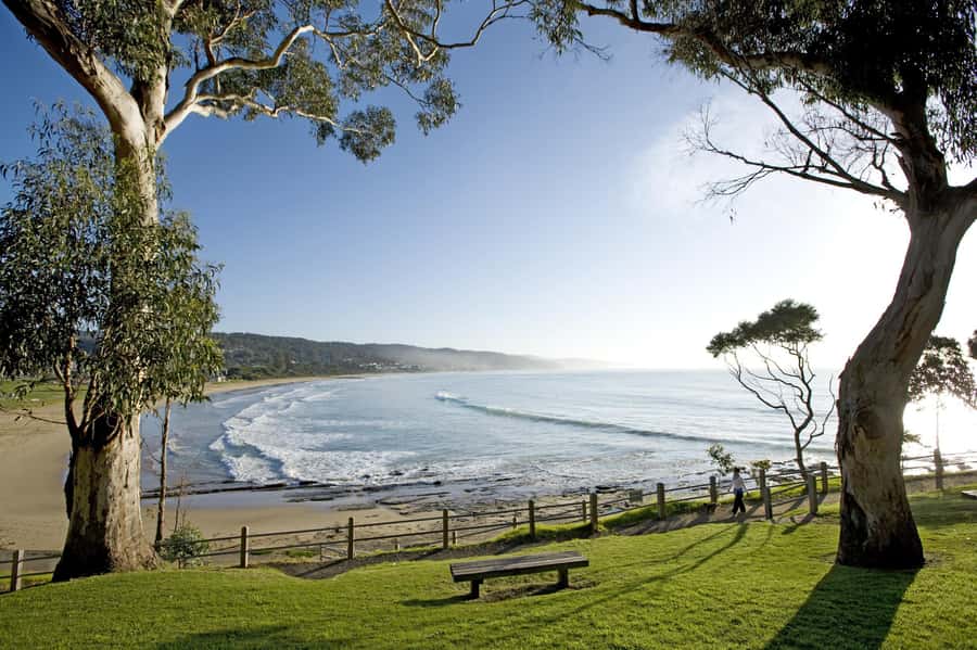 Luxe Bus Great Ocean Road Coastal Spectacular - Who should book this Luxe Bus tour, and who should skip it