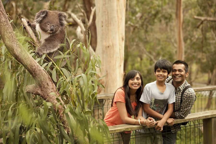 Luxury Phillip Island Tour for Families & Explorers 10 Max - What I’d pack and how I’d dress