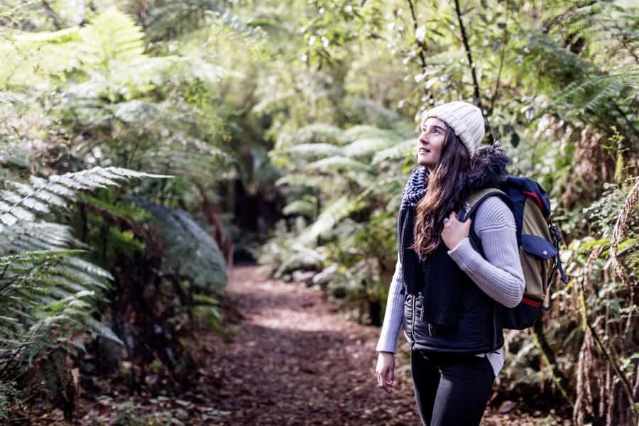 Melbourne: 2-Day Great Ocean Road & Grampians Tour - Value and pricing: is $336 per person a fair deal