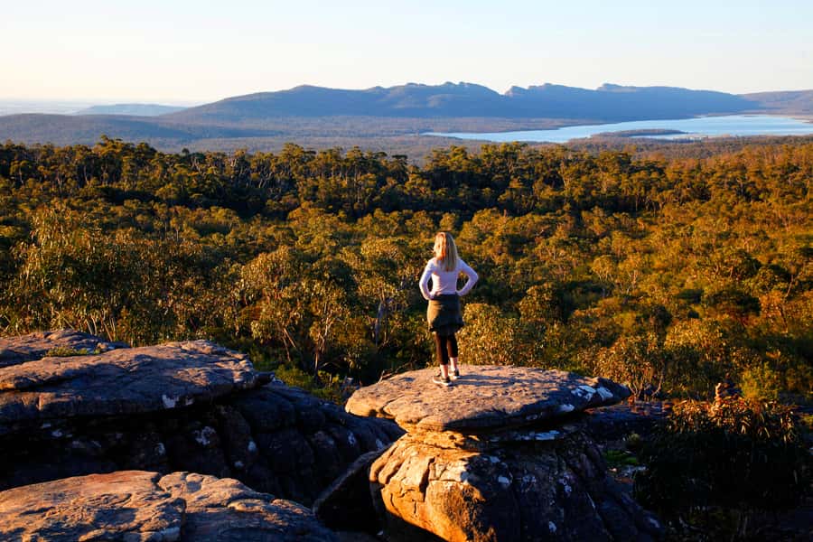 Melbourne: 2-Day Great Ocean Road & Grampians Tour - Day 1, part two: Great Otway National Park rainforest walk and wildlife searching