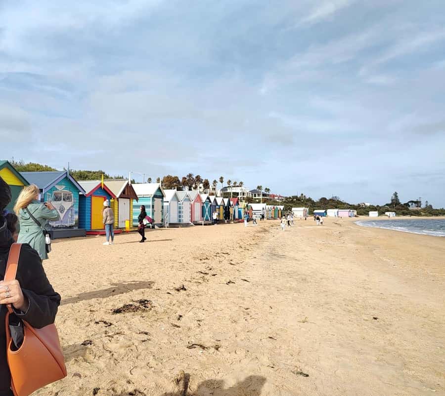 Melbourne 3-Hour Small Group Tour with Beach Boxes - Royal Exhibition Building: Culture as a Through-Line