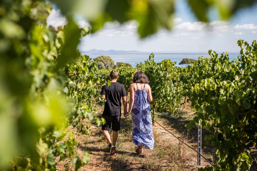 Melbourne: Around the Bay Food & Wine Taste Trail - Jack Rabbit Vineyard and Lunch: A Cafe Break That Feels Local