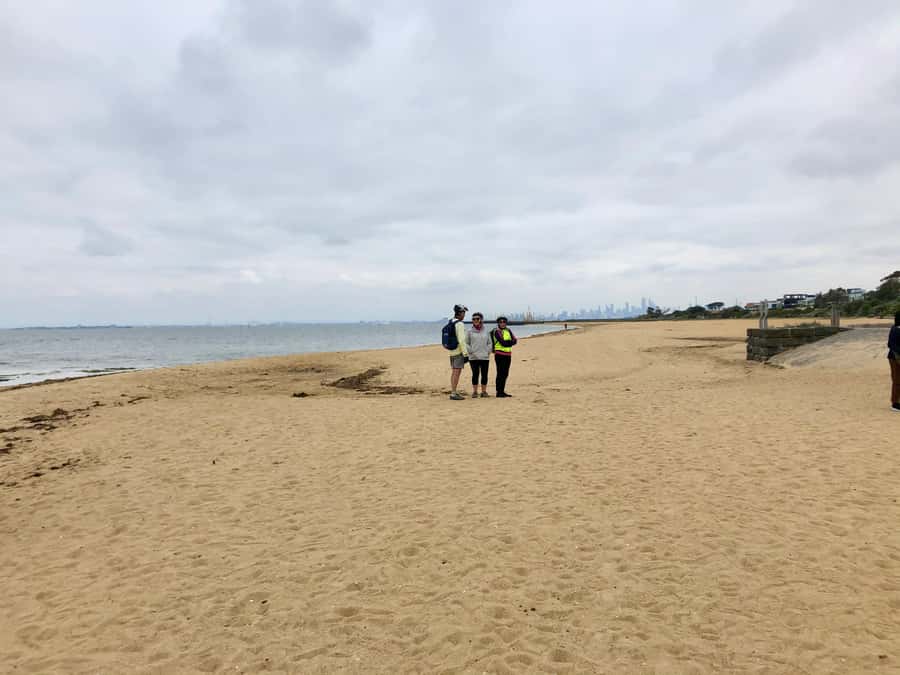 Melbourne: Bayside Bike Tour | Pedal into Local Seaside Life - Price and Value: Is $87 Worth It for a 3-Hour Bayside Ride?