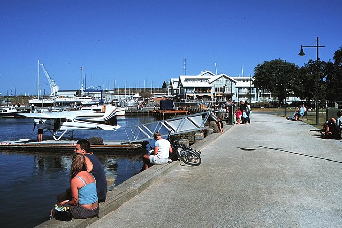 Melbourne: City and Williamstown Ferry Cruise - Price and Value at About $23 per Person