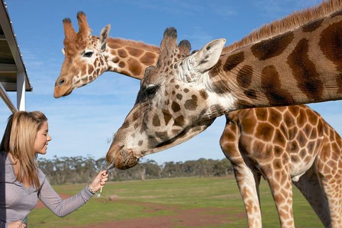 Melbourne City Card (2 Days): Visit Unlimited Attractions! - Heritage and Wool at Creswick, Plus Cooks’ Cottage