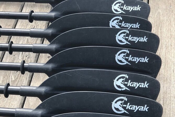 Melbourne City Sights Kayak Tour - Docklands break: the calm intermission you’ll appreciate