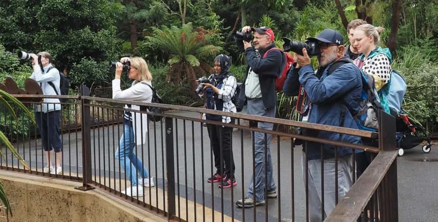 Melbourne City Surrounding Sightseeing Tour - Carlton Gardens and the UNESCO Moment