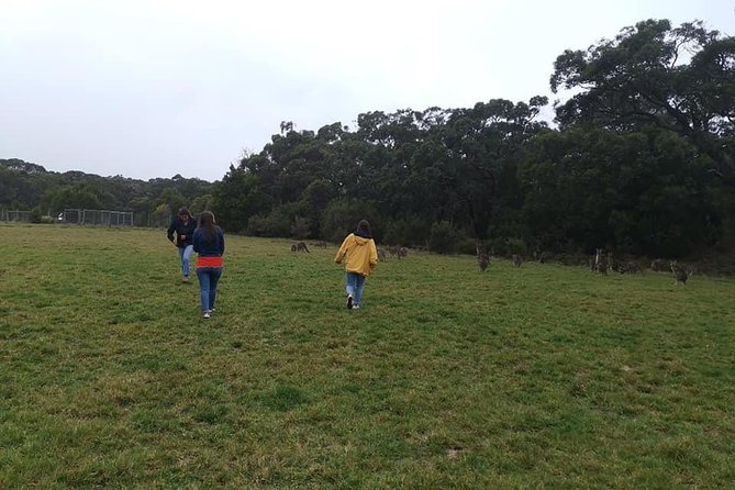 Melbourne Combo: Great Ocean Road Day Trip and Phillip Island Day Trip from Melbourne - Guides Sebastian and Fred: how narration turns stops into meaning