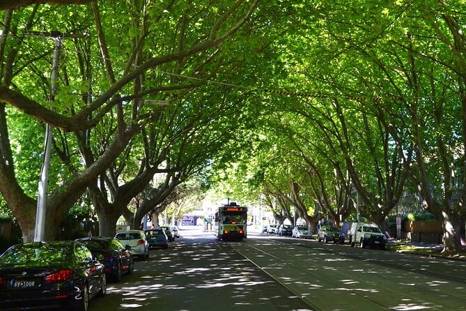 Melbourne Drive by Day - Private Tour - Bay Trail Return: Bay Views and Heritage Along the Water
