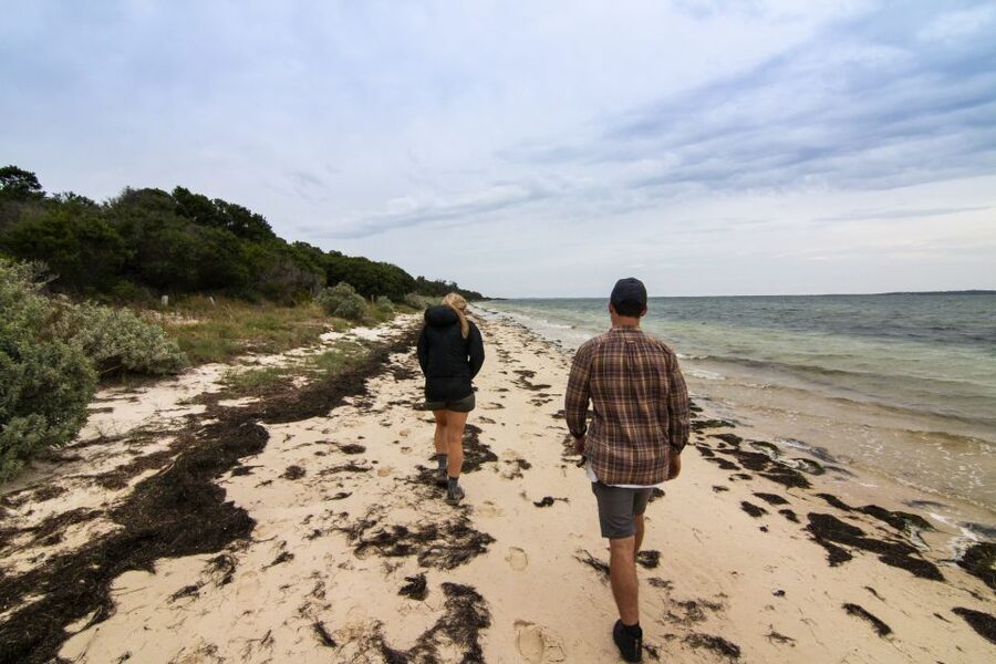 Melbourne: French and Phillip Island Wildlife Expedition - The ferry transfer to Phillip Island and the shift to seascape highlights