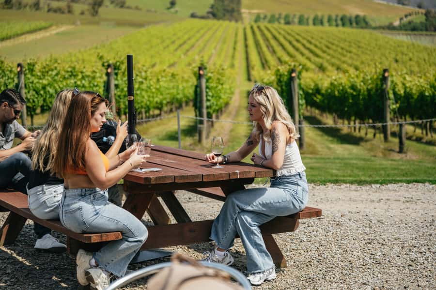 Melbourne: Full-Day Yarra Valley Wine Experience with Lunch - Morning Starts at Immigration Museum: Easy Pickup, Fixed Timing
