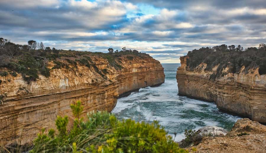 Melbourne: Great Ocean Road Adventure with Iconic Stops - Barham Paradise Scenic Reserve Walk: Koalas Without the Reckless Chasing