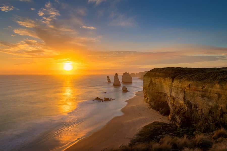 Melbourne: Great Ocean Road Day Tour with kangaroos & koalas - Kangaroos at Anglesea Golf Resort: a wildlife stop with honest odds