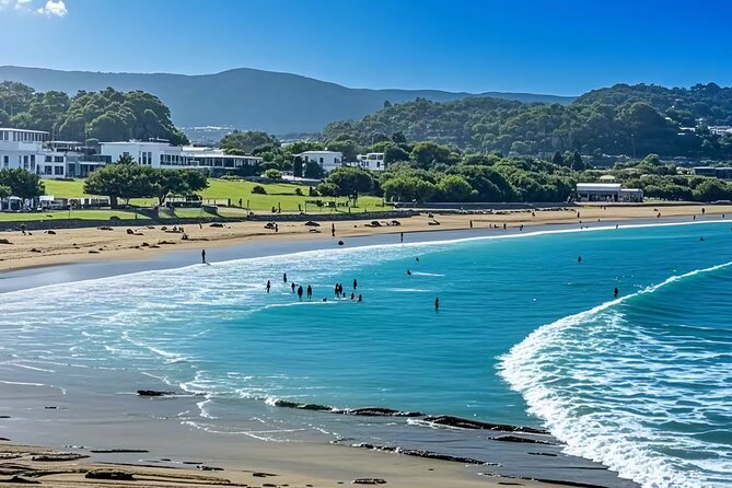 Melbourne: Great Ocean Road Luxury Coach Reverse Tour - Great Otway National Park: Where rainforest meets the sea