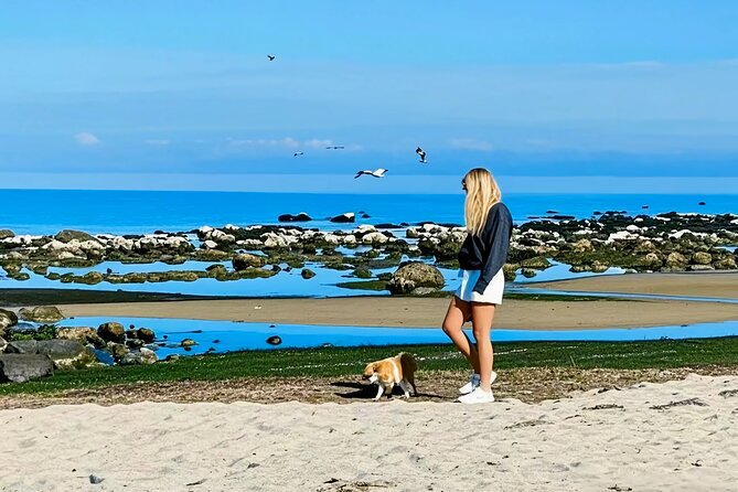 Melbourne: Great Ocean Road Luxury Coach Reverse Tour - The Twelve Apostles: Your grand finale with only seven left