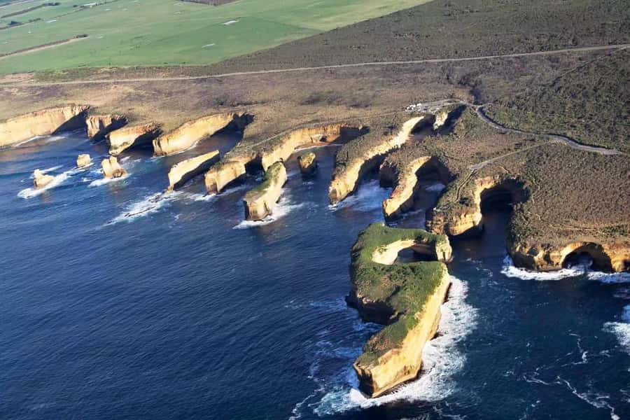 Melbourne: Great Ocean Road Max Highlights & London Bridge - River Road koala viewing: short walk, big payoff