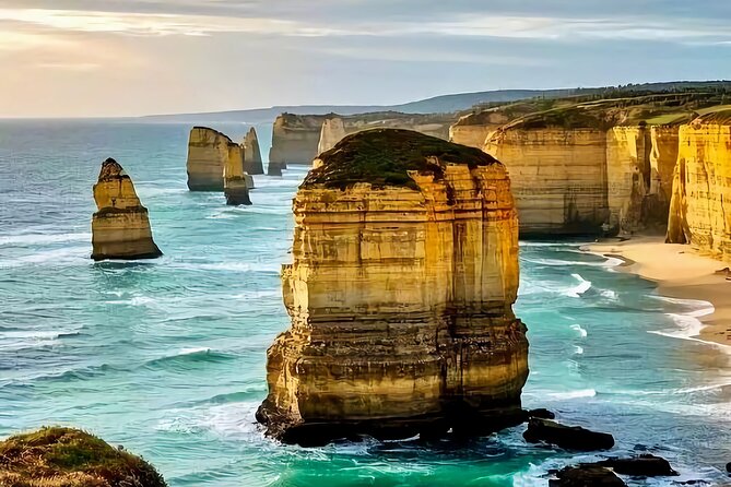 Melbourne Great Ocean Road Reverse Tour + London Bridge wildlife - Key moments you should plan around