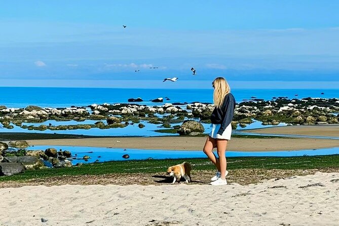 Melbourne Great Ocean Road Reverse Tour + London Bridge wildlife - Coach comfort, group size, and how to plan your seat