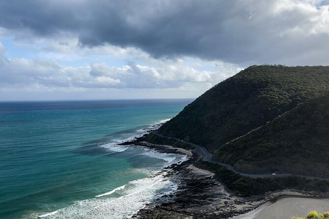Melbourne: Great Ocean Road Tour with Maxi Highlights in One Day - Koalas near Barham Paradise S.R.: short stop, big mood