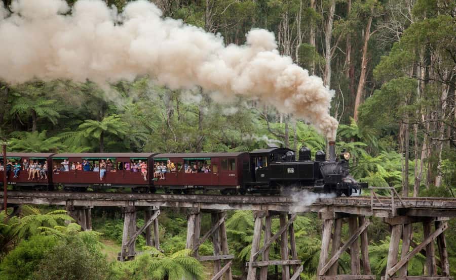 Melbourne: Half-Day Puffing Billy Steam Train Experience - The Puffing Billy ride: open carriage views and the Monbulk Creek Trestle Bridge