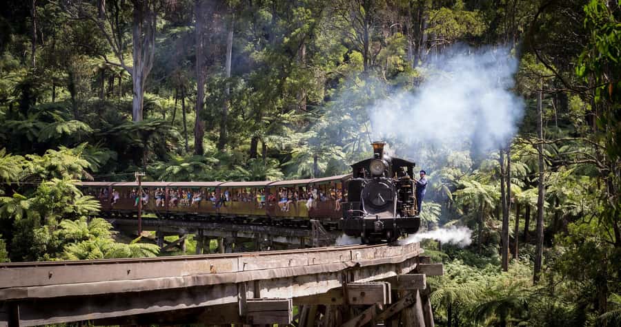 Melbourne: Half-Day Puffing Billy Steam Train Experience - Price and value: is $126 per person worth it?