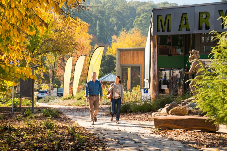 Melbourne: Lake Mountain Snow Day and Waterfalls & Chocolate - The value question: is $127 worth it for 10 hours?