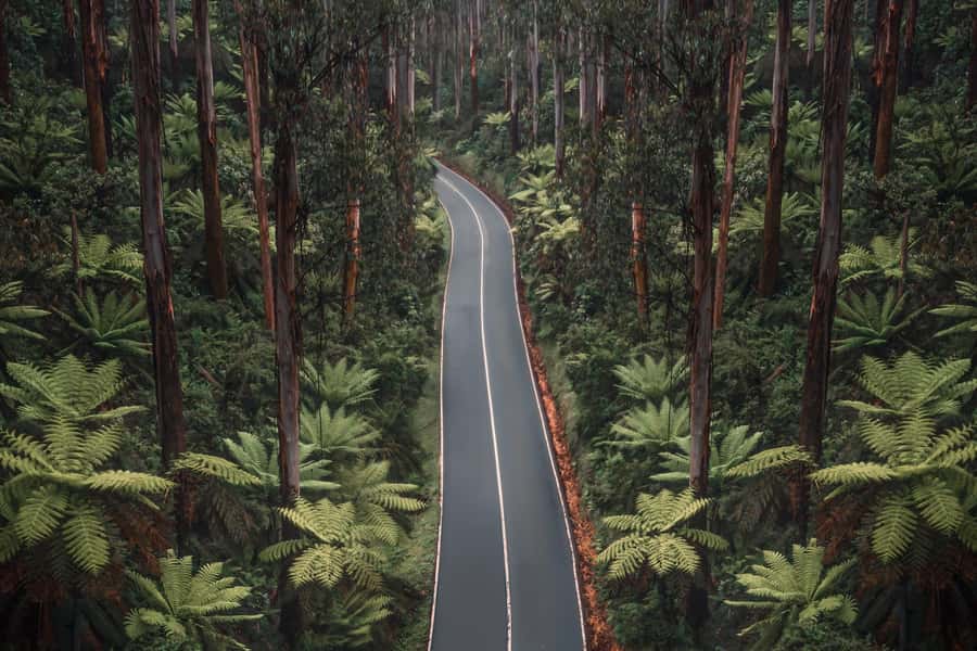Melbourne: Lake Mountain Snow Day and Waterfalls & Chocolate - Yarra Valley Chocolaterie & Ice Creamery: a sweet stop with more than just sugar
