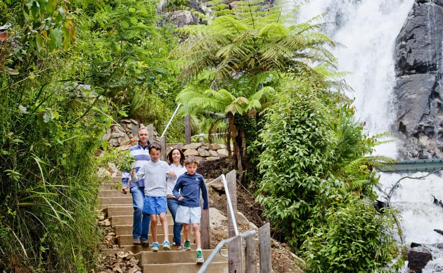 Melbourne: Lake Mountain Snow, Waterfall & Chocolaterie Tour - Price and Value: Is $123 Worth It