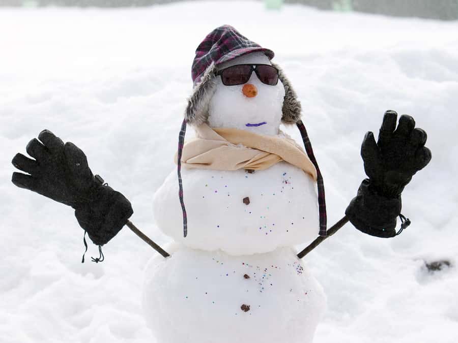 Melbourne: Lake Mountain Snow & Waterfalls Guided Tour - Lake Mountain snow fun: 3 hours of toboggans, ski tracks, and chalets