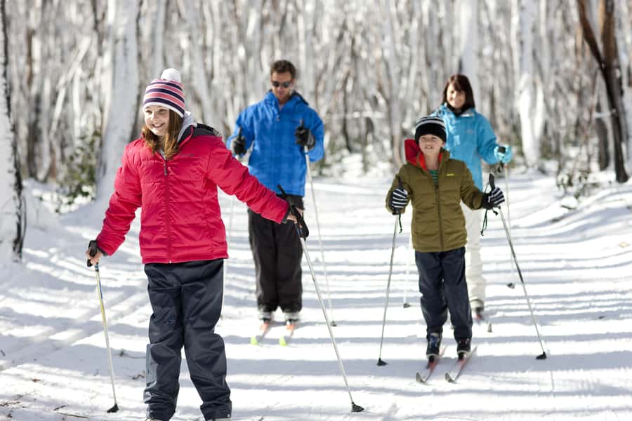 Melbourne: Lake Mountain Snow & Waterfalls Guided Tour - Steavenson Falls in Victoria: five cascades and a 122-meter drop