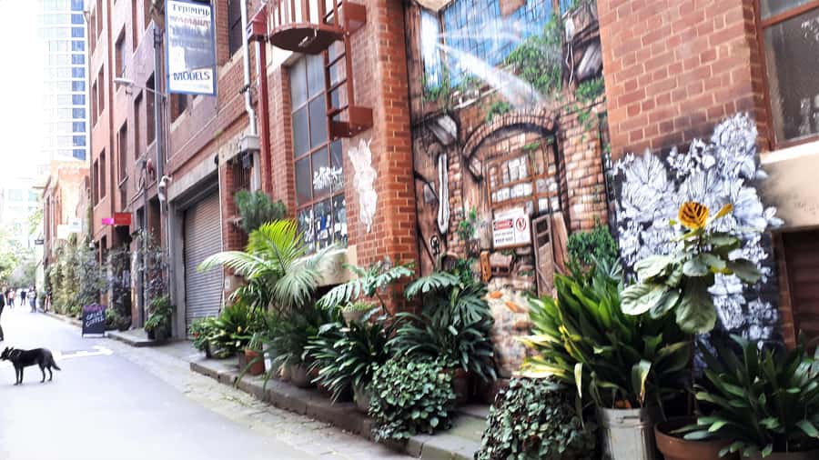 Melbourne Laneways Tour - Value check: is $91 worth a 3-hour laneways tour?